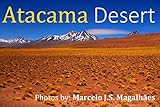 Atacama Desert English Edition