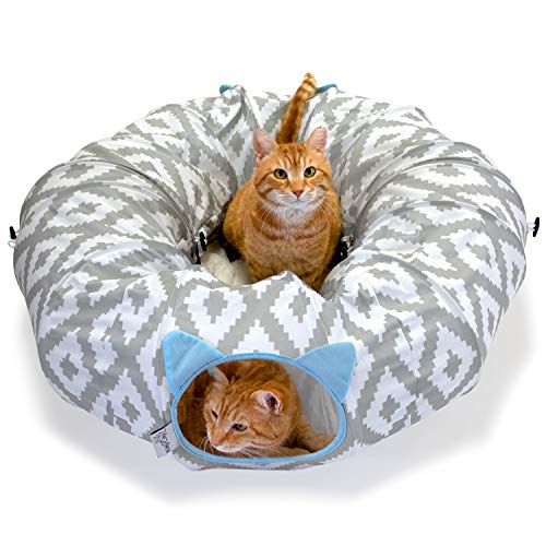 xl cat bed