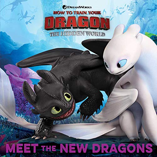 Meet the New Dragons (By: Shane L. Johnson) cover