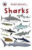 Mad About Sharks Ladybird Minis English Edition