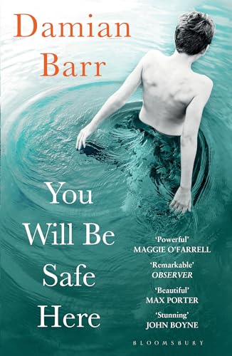 You Will Be Safe Here book cover