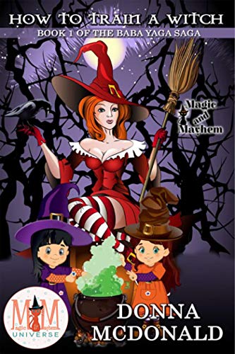 How to Train a Witch book cover