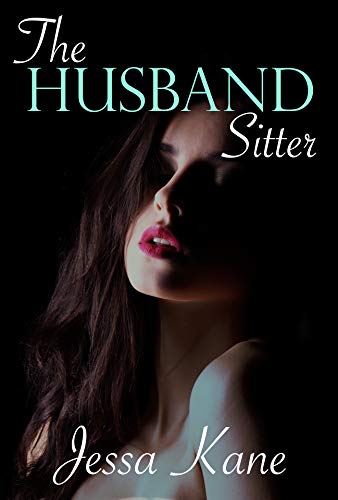 The Husband Sitter cover
