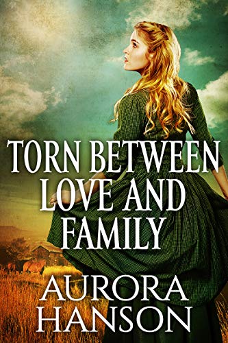 Torn Between Love and Family book cover