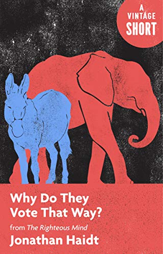 Why Do They Vote That Way? book cover
