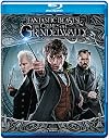 Fantastic Beasts: The Crimes of Grindelwald [2018 film]