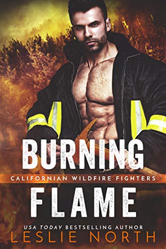 Burning Flame book cover