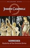 Goddesses Mysteries Of The Feminine Divine The Collected Works Of Joseph Campbell Book 6 English Edition