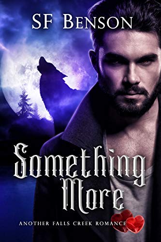 Something More book cover