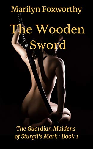 The Wooden Sword book cover