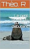 Le Petit Guilde Du Surfeur Dbutant Ou Comment Commencer Le Surf En Quelques Leons