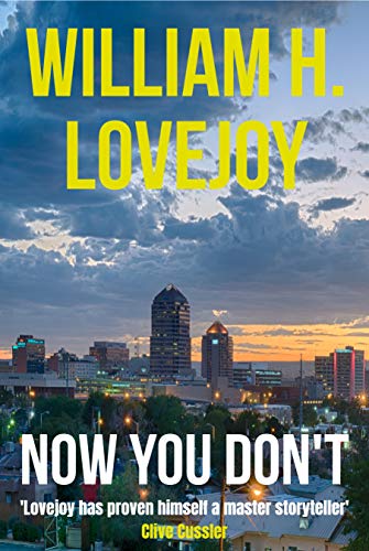 Now You Don't book cover