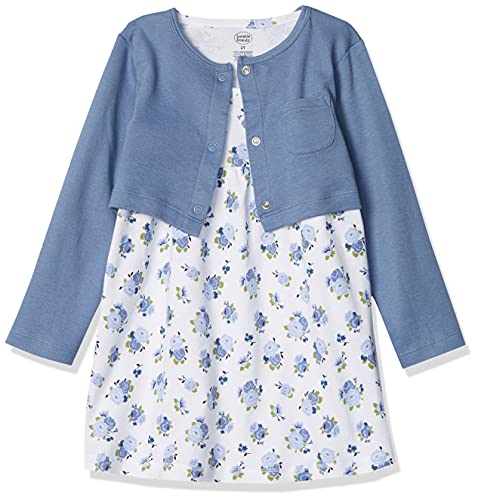 Luvable Friends baby girls and Cardigan Casual Dress, Blue Floral, 9-12 Months US