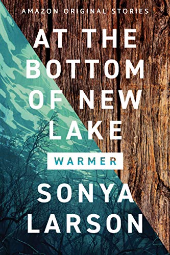 At the Bottom of New Lake book cover
