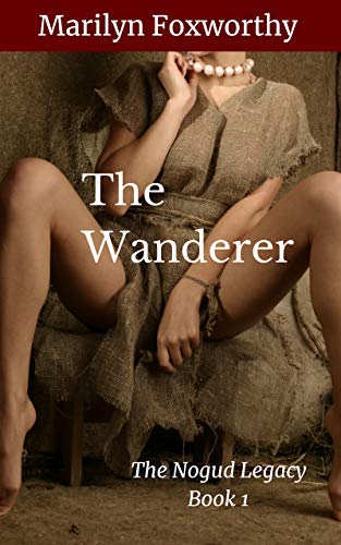 The Wanderer book cover
