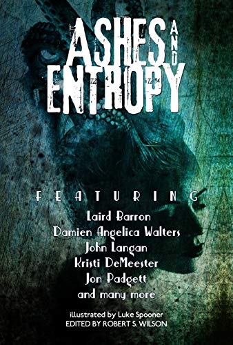 Ashes and Entropy book cover