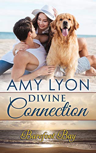 Divine Connection (By: Amy Lyon) cover
