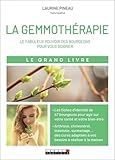 Le Grand Livre De La Gemmoth%C3%A9rapie : Le Fabuleux Pouvoir Des Bourgeons Pour Vous Soigner