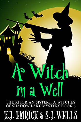 A Witch in a Well book cover