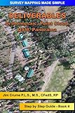 Deliverables Step By Step Guide Survey Mapping Made Simple Book 4 English Edition