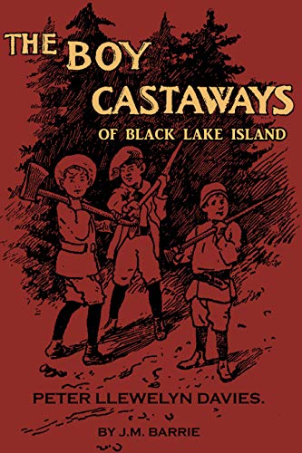 The Boy Castaways of Black Lake Island book cover