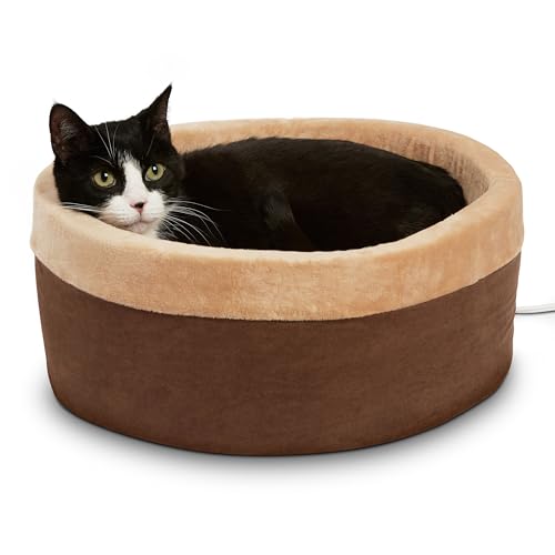 Best Heated Cat Beds for Arthritic & Senior Cats in 2026