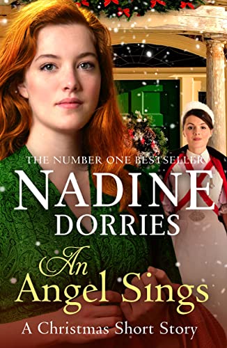 An Angel Sings book cover