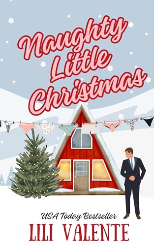 A Naughty Little Christmas book cover