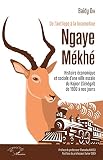 De Lantilope La Locomotive Ngaye Mkh Histoire Conomique Et Sociale Dune Ville Escale Du Kajoor Sngal De 1900 Nos Jours Harmattan Sngal