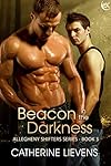 Beacon in the Darkness (Allegheny Shifters #3)