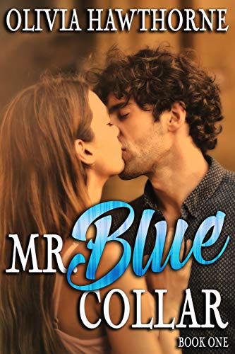 Mr. Blue Collar, Book One cover