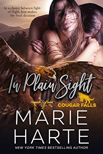 In Plain Sight book cover