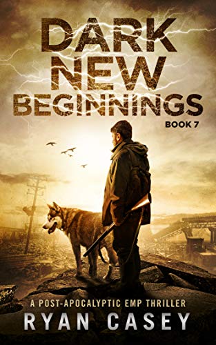 Dark New Beginnings book cover