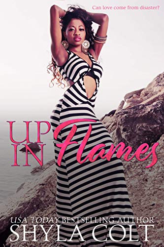 Up in Flames book cover