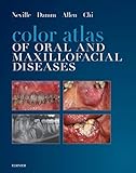Color Atlas Of Oral And Maxillofacial Diseases Ebook