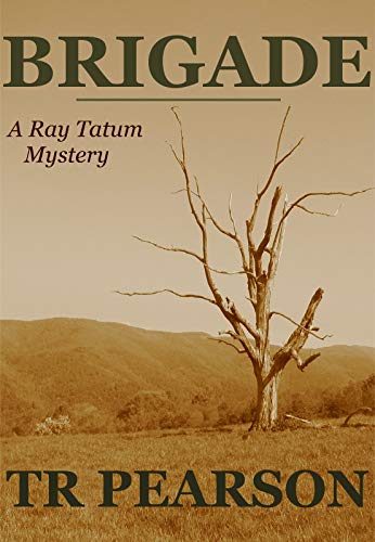 Brigade book cover