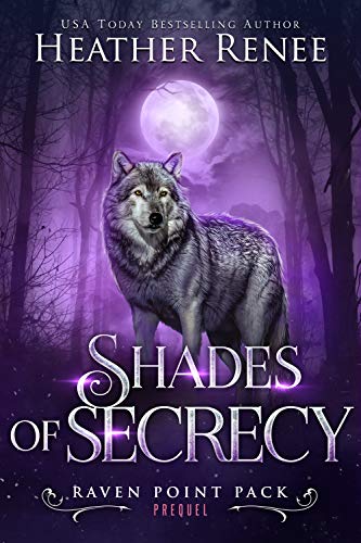 Shades of Secrecy book cover