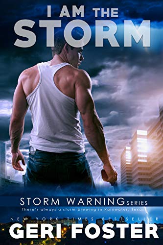 I Am the Storm book cover