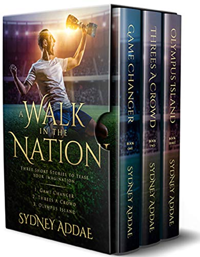 A Walk in the Nation book cover