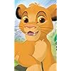 シンバ (Simba)
 ディズニー - シンバ (Simba)
 FVGA(480×800)壁紙 319997