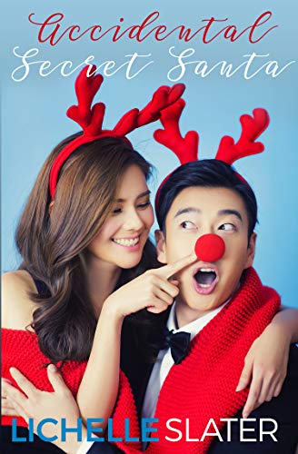 Accidental Secret Santa book cover