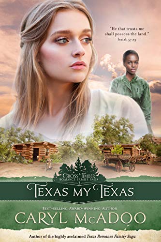 Texas My Texas cover