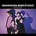 【早期購入特典あり】OWARIKARA BEST OF CULT 2010-2018~オワリカラの世界か~(初回限定盤)(特典:ライブ映像DVD)