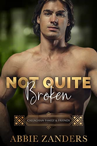 Not Quite Broken book cover