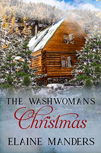 The Washwoman's Christmas book cover