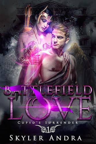 Battlefield Love book cover