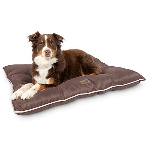 snoozer large dog beds