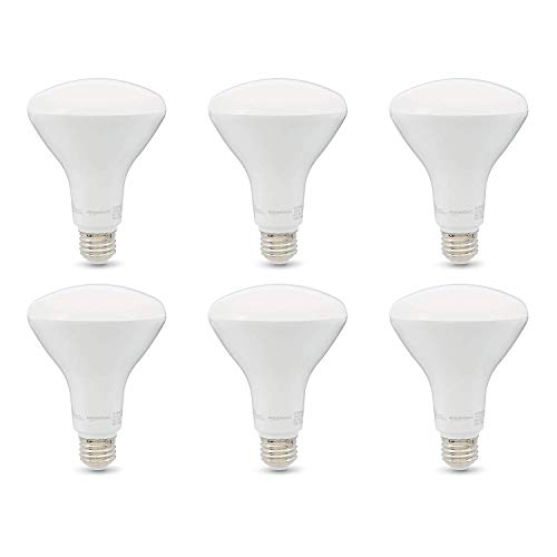 LED BR30 flood light bulbs 6 pack