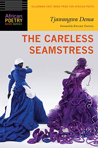 The Careless Seamstress book cover