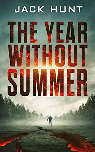 The Year Without Summer book cover